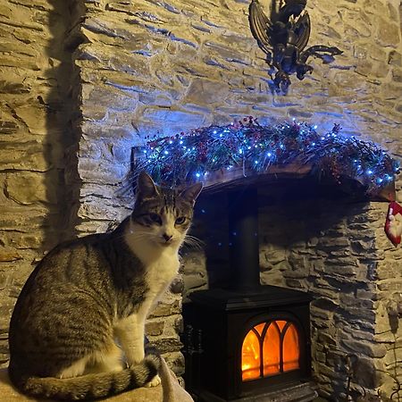Five Saints Farmhouse B&B Pumpsaint Esterno foto
