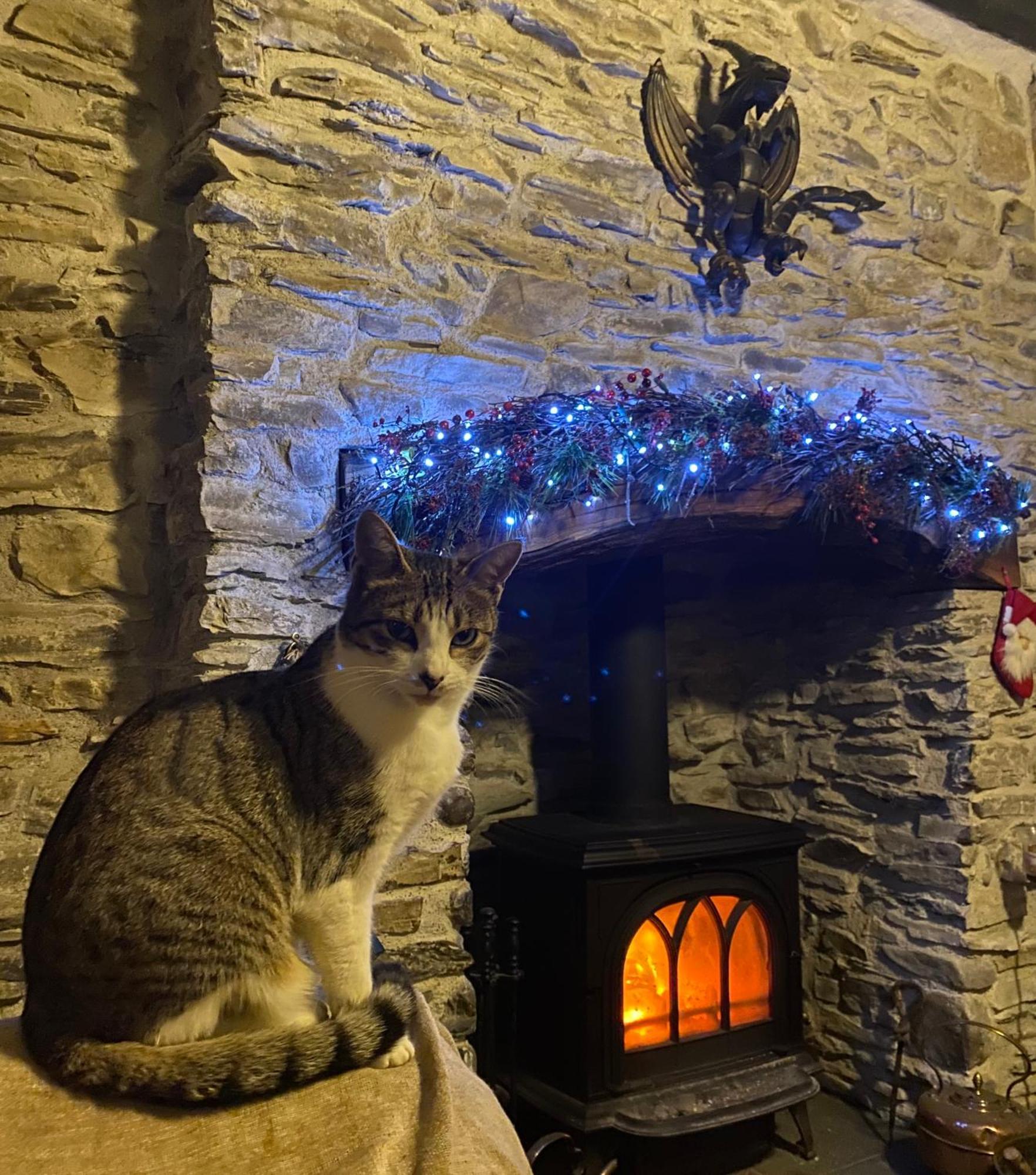 Five Saints Farmhouse B&B Pumpsaint Esterno foto