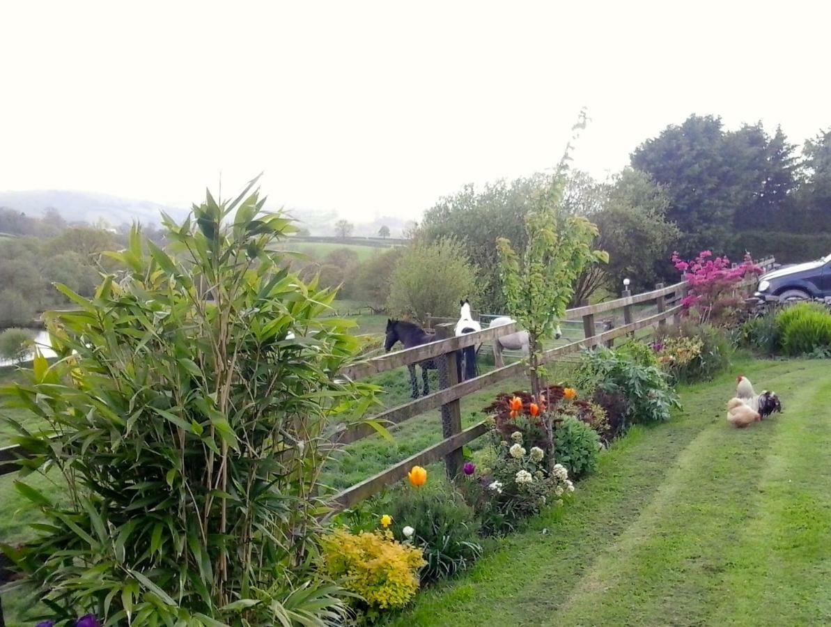 Five Saints Farmhouse B&B Pumpsaint Esterno foto
