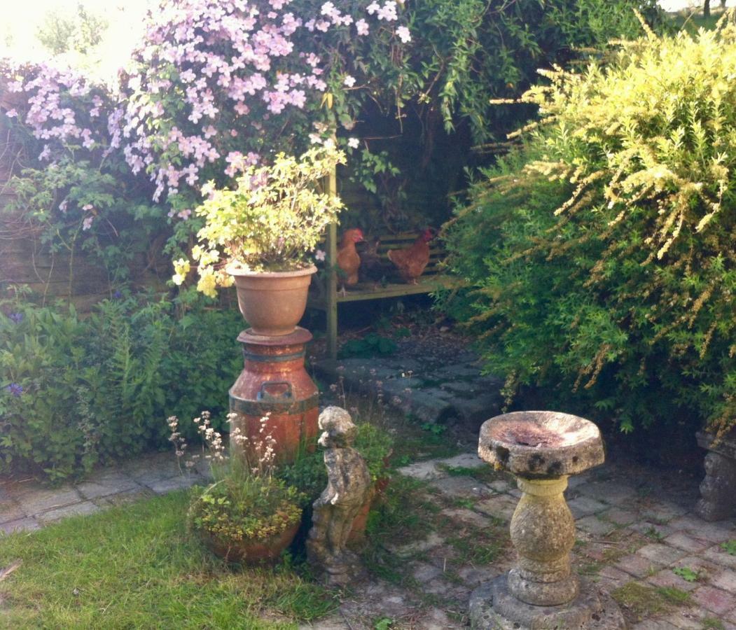 Five Saints Farmhouse B&B Pumpsaint Esterno foto